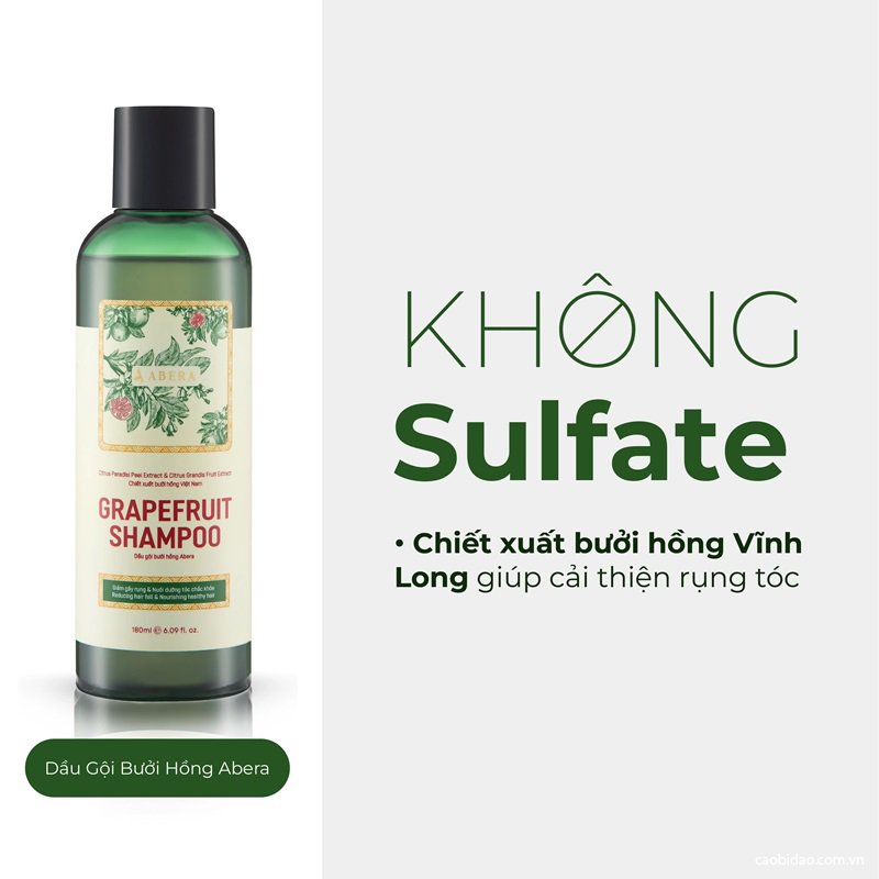 top 7 dau goi khong sulfate va silicon