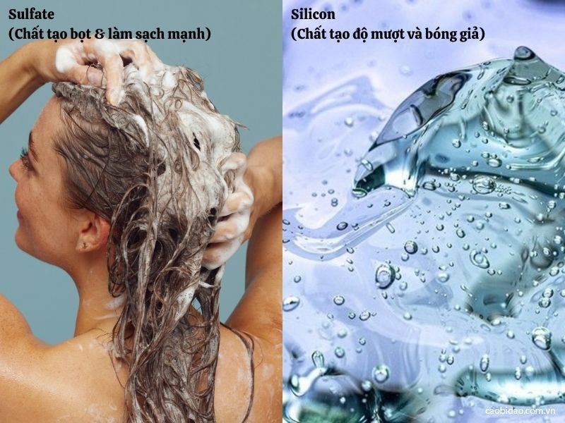 top 5 dau goi khong sulfate va silicon