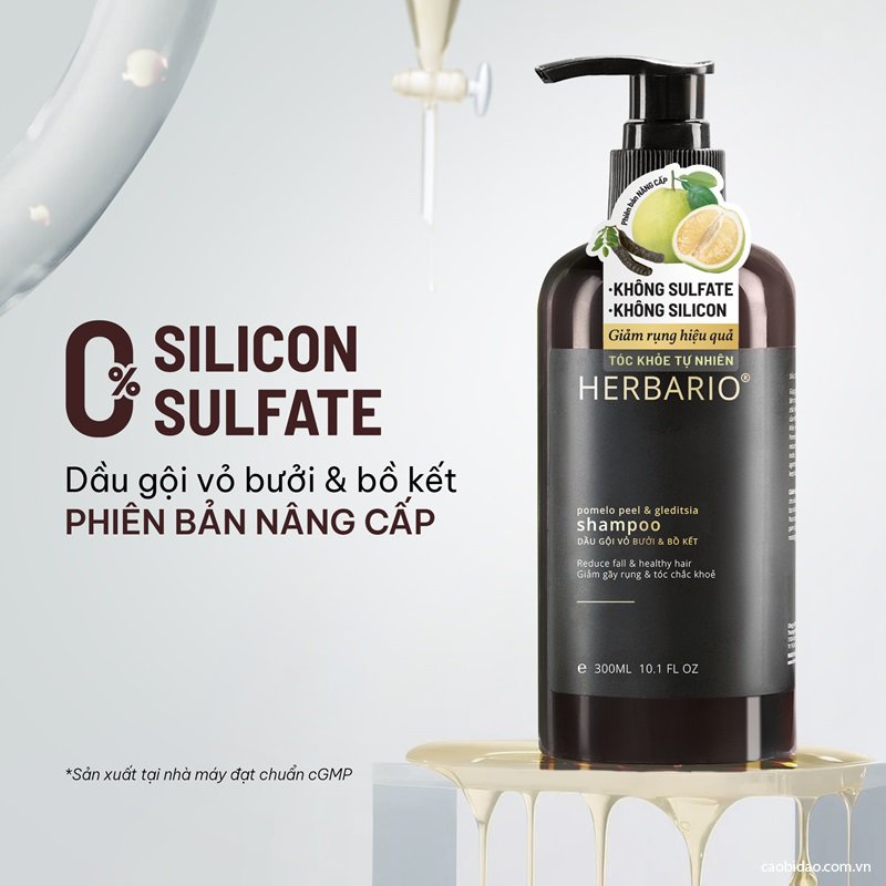 top 5 dau goi khong sulfate va silicon