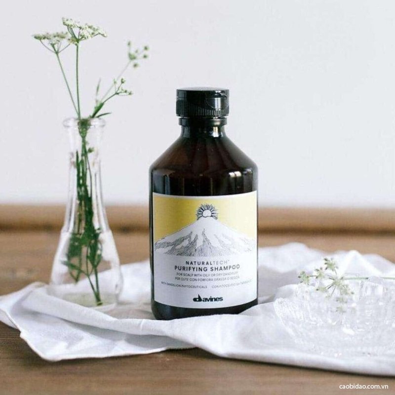 top 5 dau goi khong sulfate va silicon