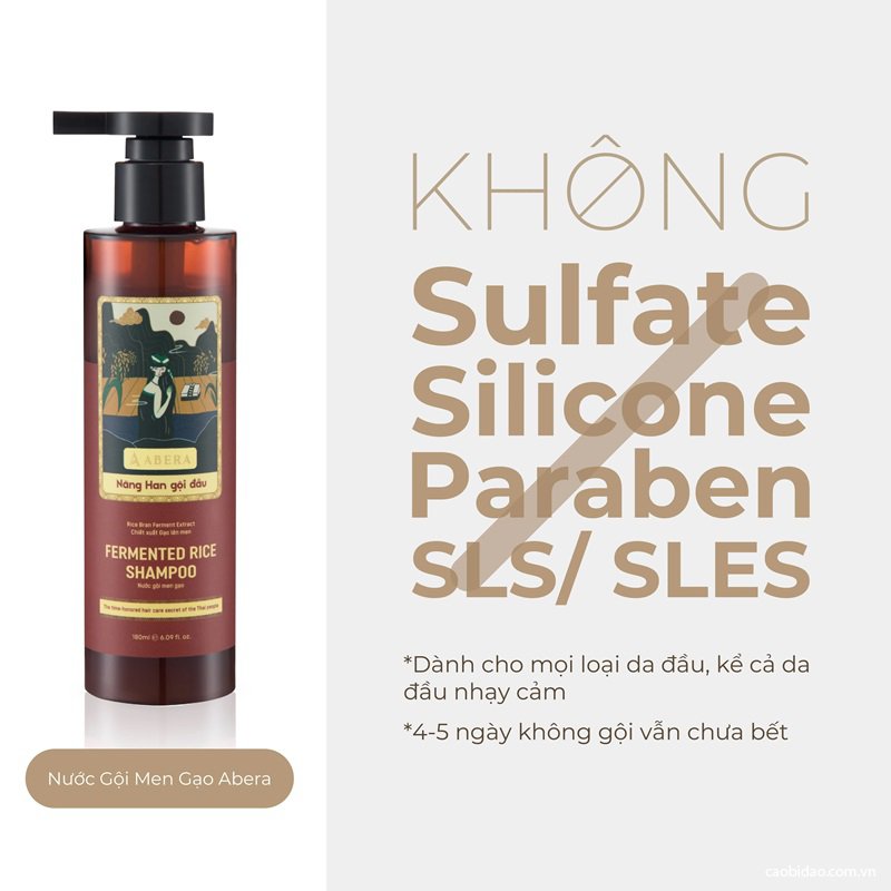 top 5 dau goi khong sulfate va silicon
