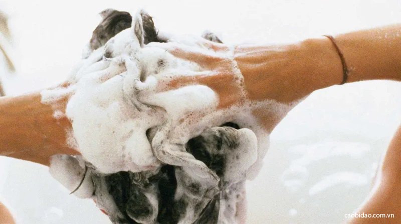 top 5 dau goi khong sulfate va silicon