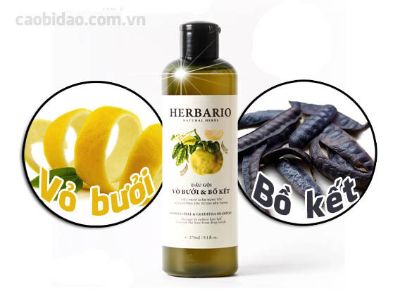 Dầu gội HERBARIO trị rụng tóc Dầu gội HERBARIO trị rụng tóc