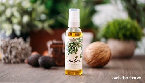 dau olive cocoon dau olive cocoon