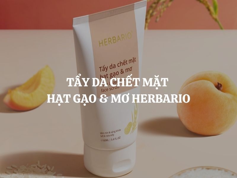 Ai nên dùng Tẩy da chết mặt hạt gạo & mơ Herbario thuần chay? Ai không nên dùng?