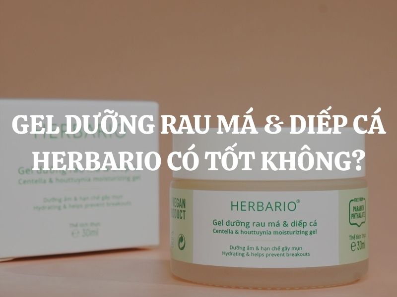Gel dưỡng rau má & diếp cá Herbario có tốt không? Review chi tiết từ A-Z cho da mụn Gel dưỡng rau má & diếp cá Herbario có tốt không? Review chi tiết từ A-Z cho da mụn